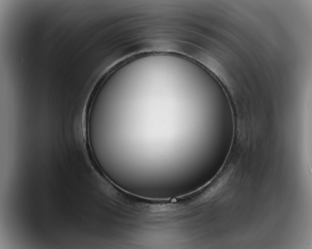 X0000088840988200706141535