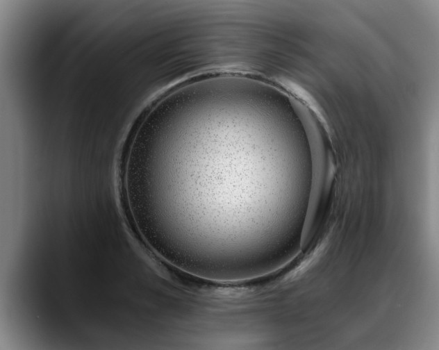 X0000088840989200706141535