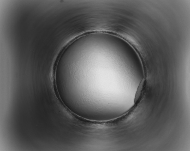 X0000088840990200706141535