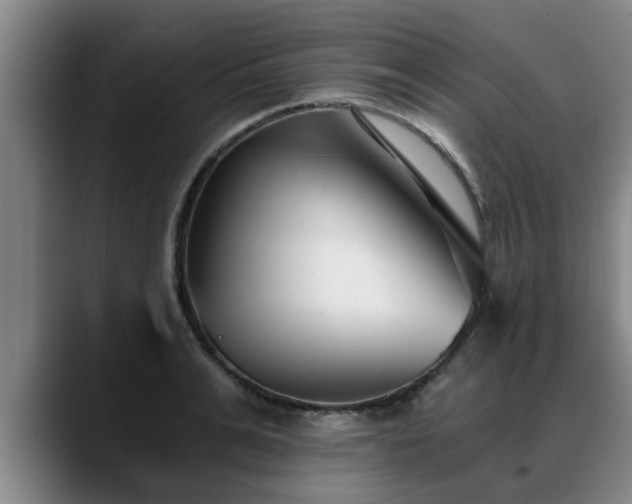 X0000088840991200706141535