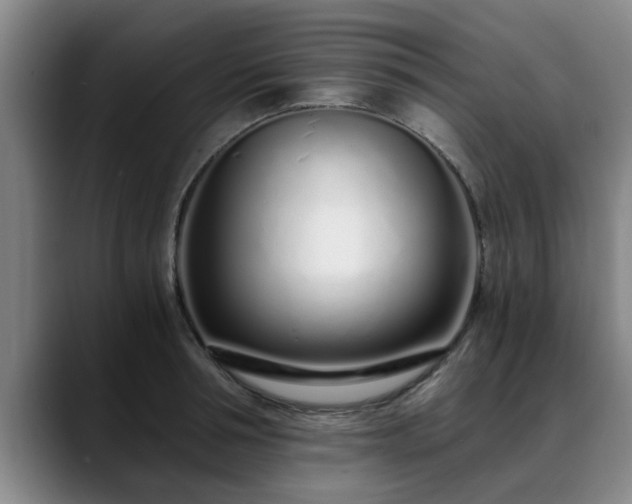 X0000088840994200706141535