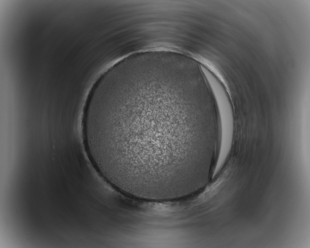 X0000088840995200706141535