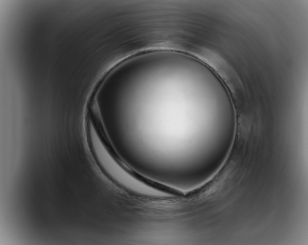 X0000088840998200706141535