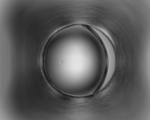 X0000088840999200706141535