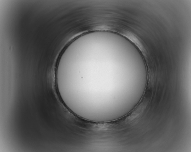 X0000088841000200706141535