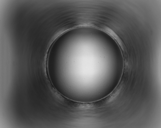 X0000088841002200706141535