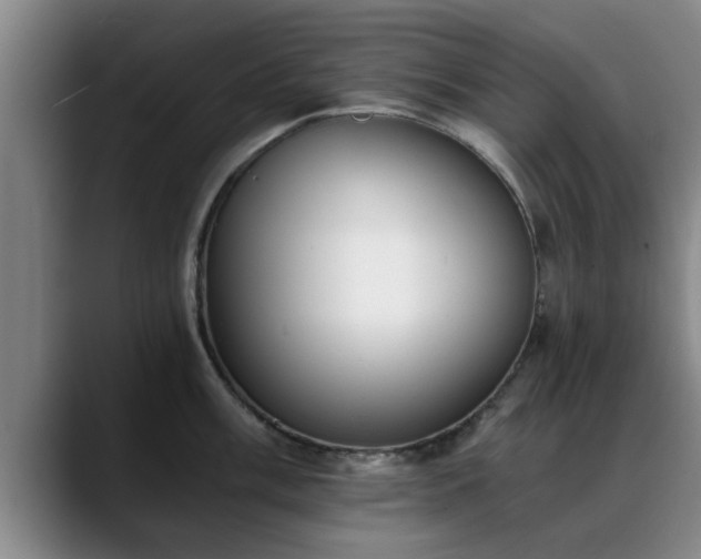 X0000088841003200706141535