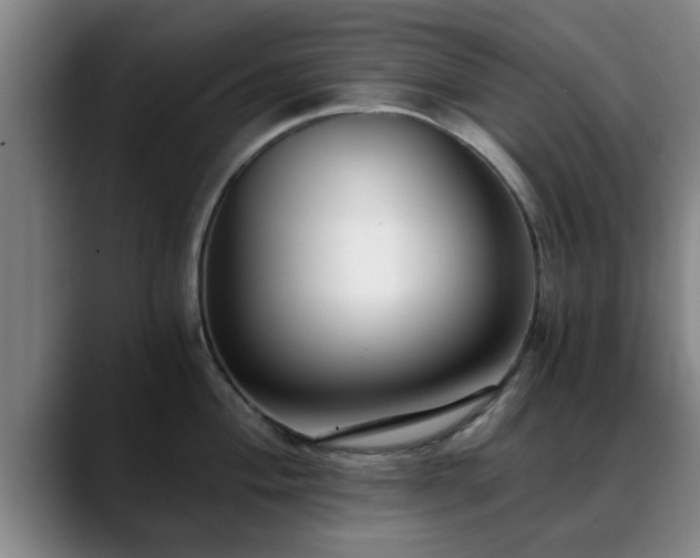 X0000088841004200706141535