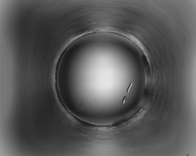 X0000088841005200706141535