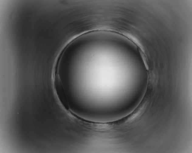 X0000088841007200706141535