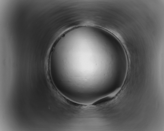 X0000088841008200706141535