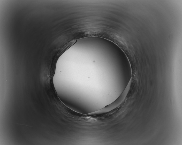 X0000088841012200706141535