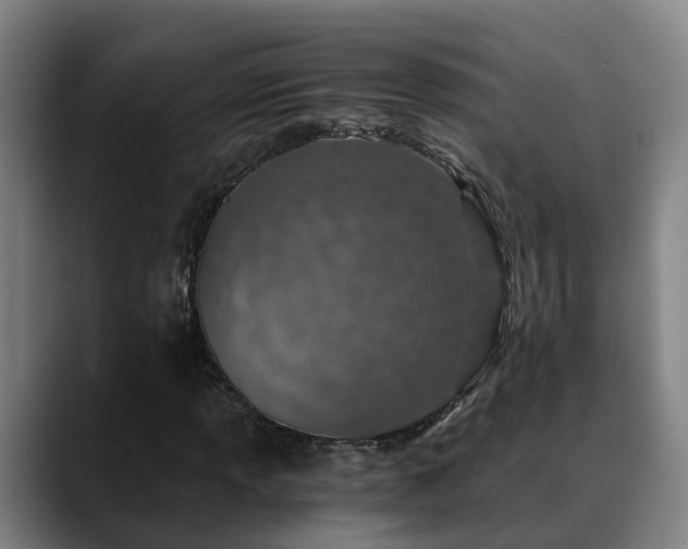 X0000088841013200706141535