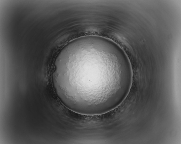 X0000088841015200706141535