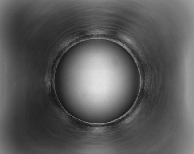 X0000088841017200706141535