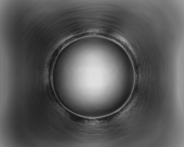 X0000088841019200706141535