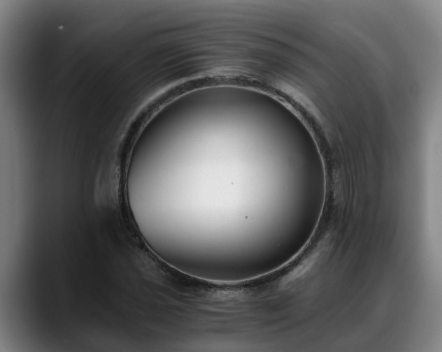 X0000088841021200706141535