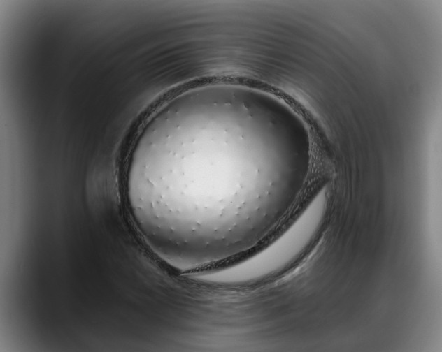 X0000088841022200706141535