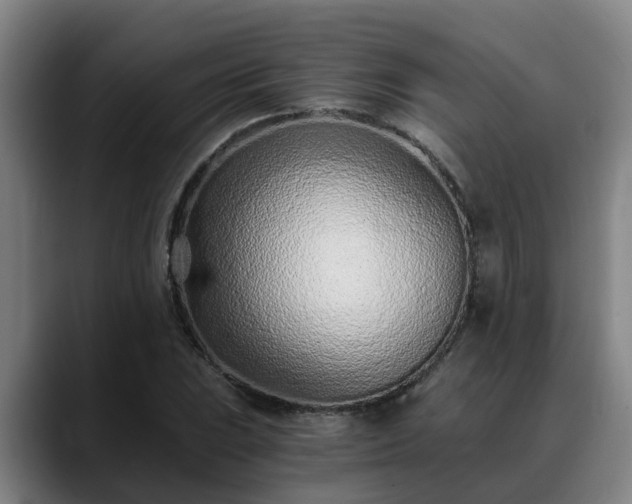 X0000088841023200706141535