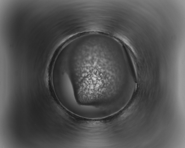 X0000088841024200706141535