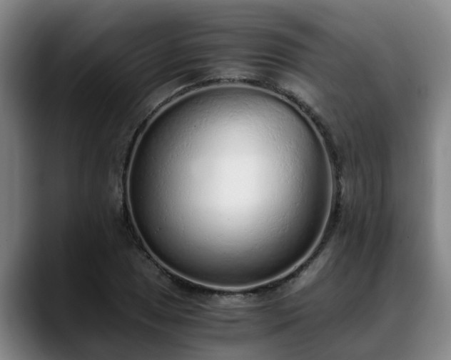 X0000088841025200706141535