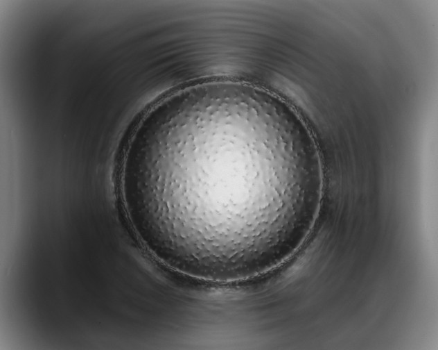 X0000088841026200706141535