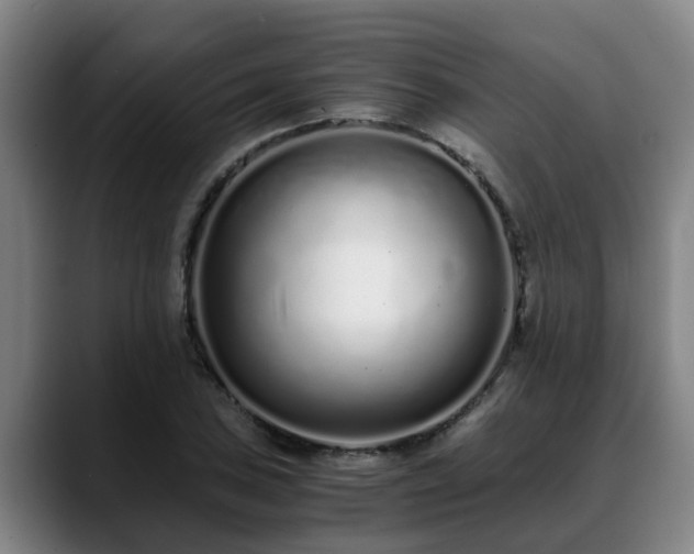 X0000088841027200706141535