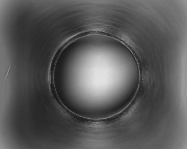 X0000088841028200706141535