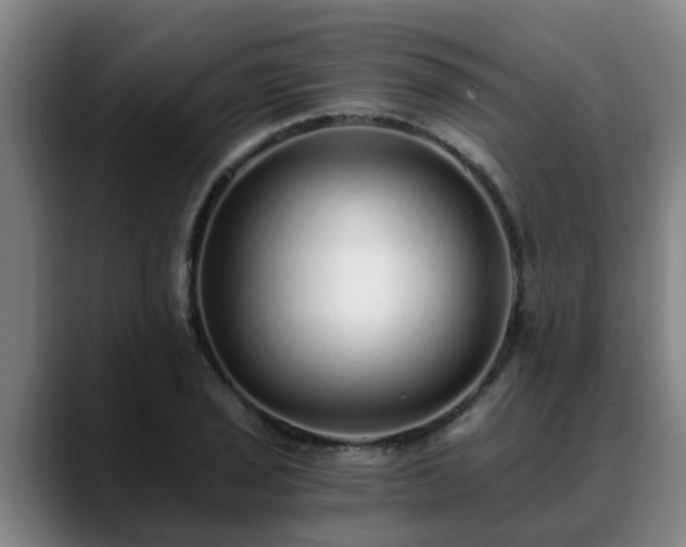 X0000088841029200706141535