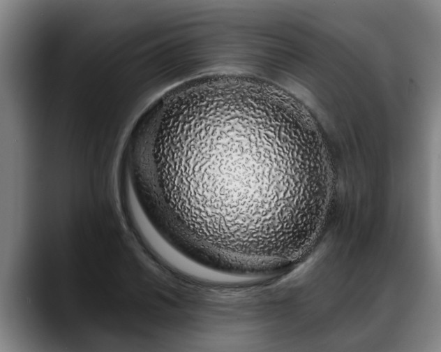 X0000088841030200706141535