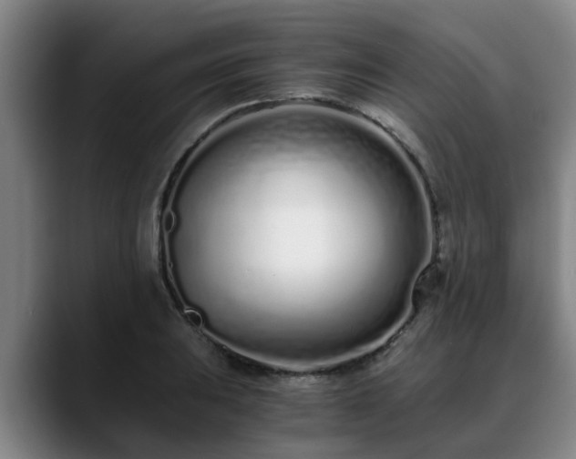 X0000088841031200706141535