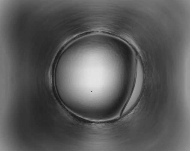 X0000088841032200706141535