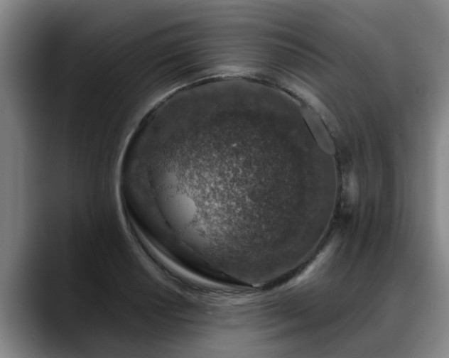 X0000088841034200706141535