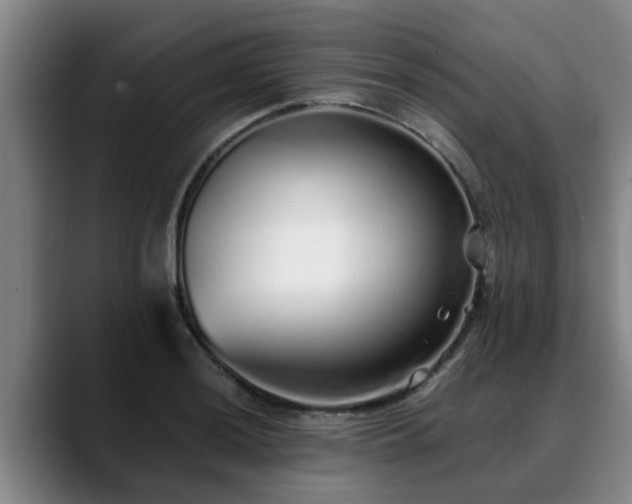 X0000088841036200706141535