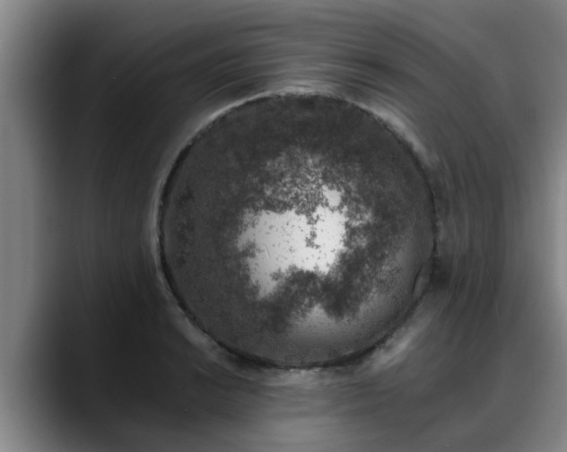 X0000088841038200706141535