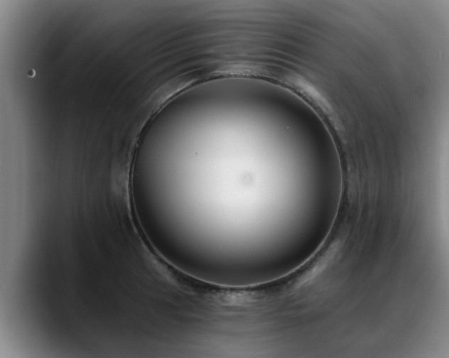 X0000088841041200706141535