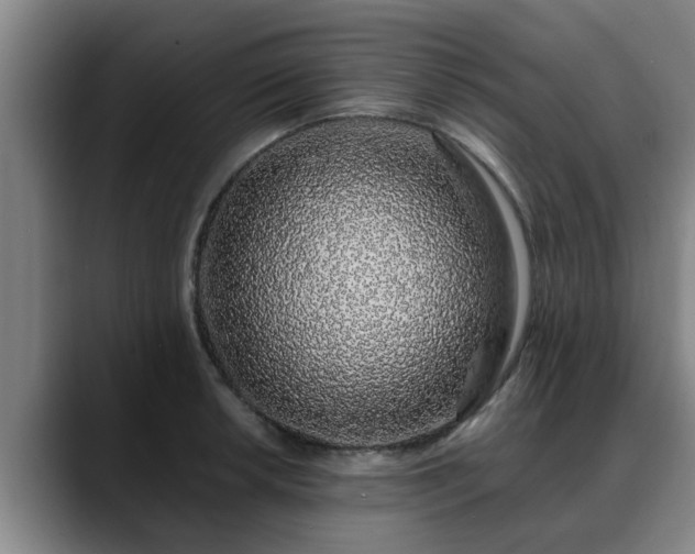 X0000088841042200706141535