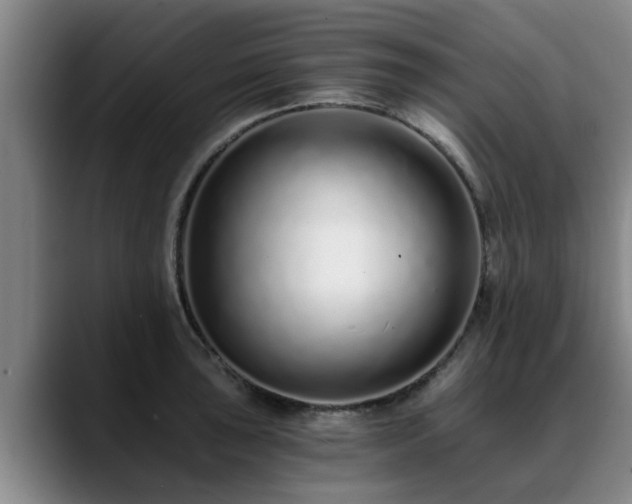 X0000088841043200706141535