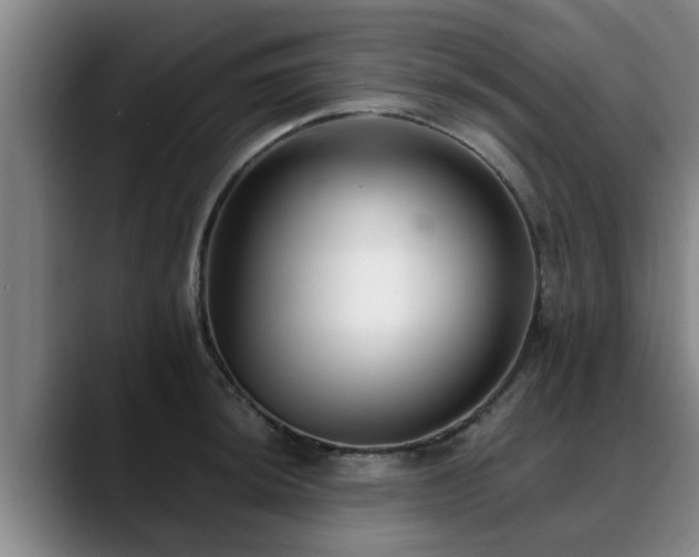 X0000088841044200706141535