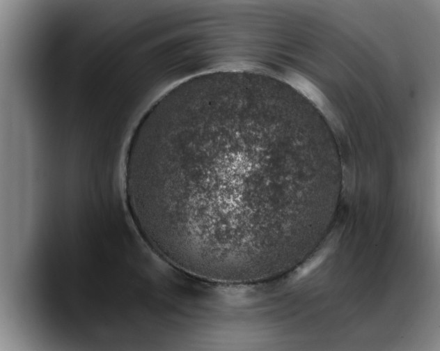 X0000088841046200706141535