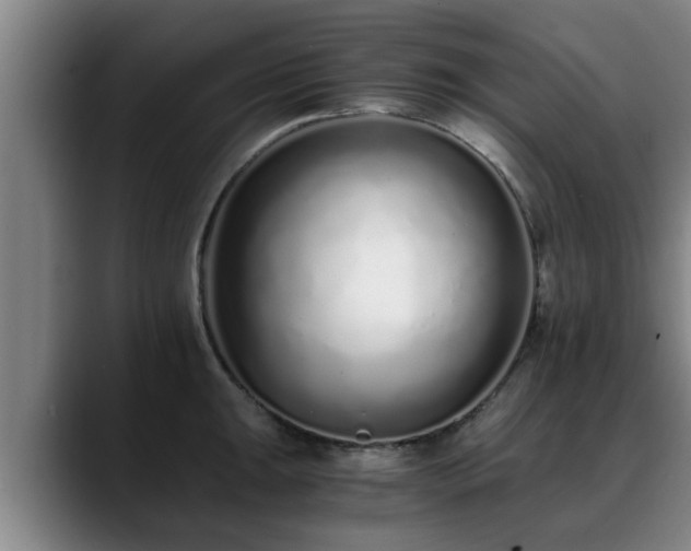 X0000088841047200706141535