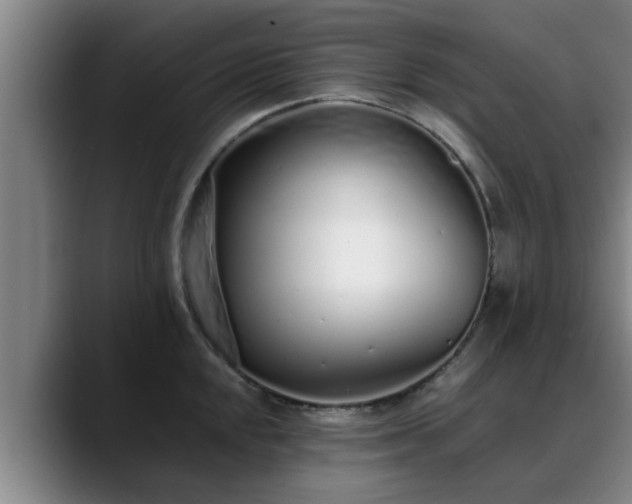 X0000088841048200706141535