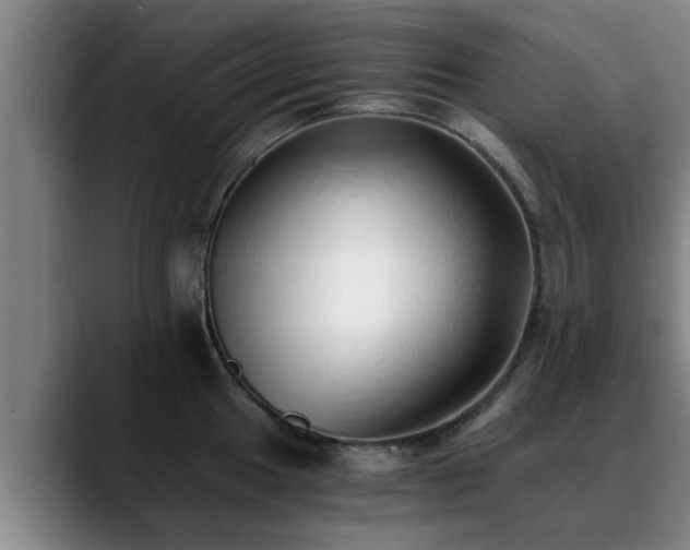 X0000088841049200706141535