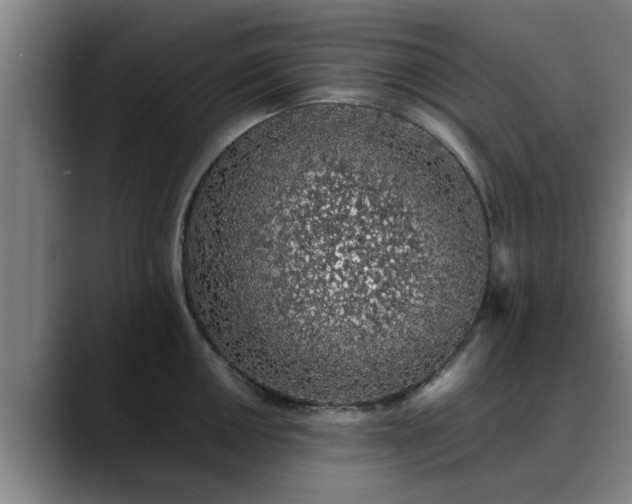 X0000088841050200706141535