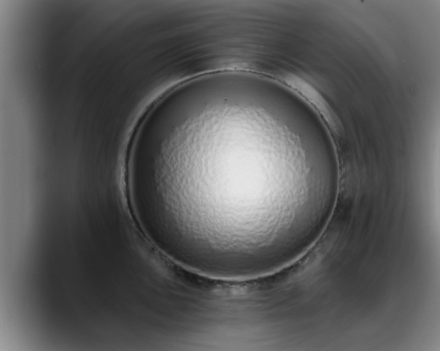 X0000088841051200706141535