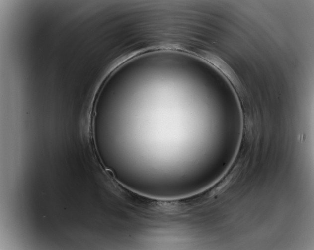 X0000088841052200706141535