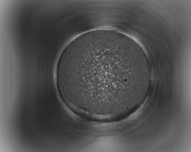 X0000088841054200706141535