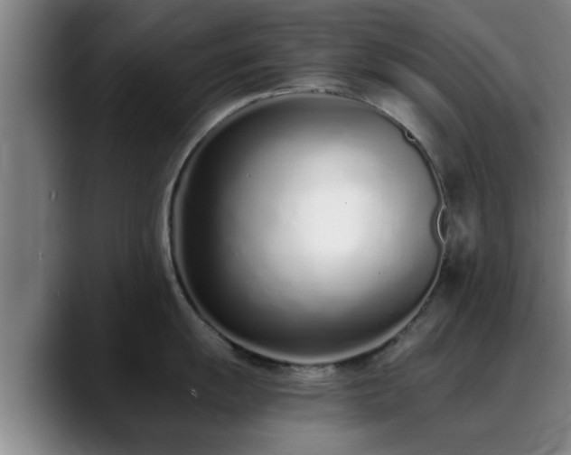 X0000088841055200706141535