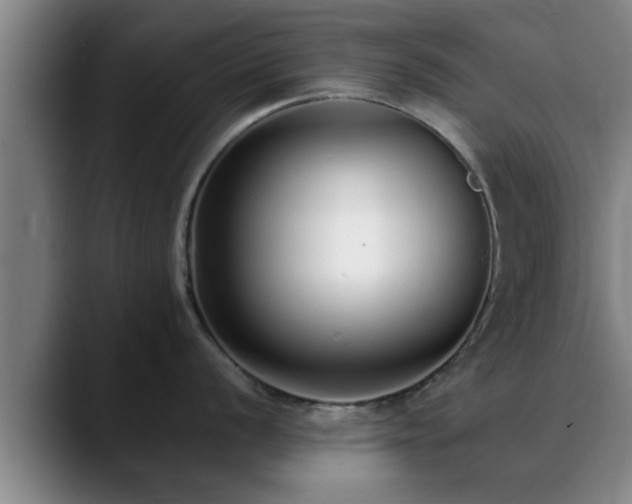 X0000088841056200706141535