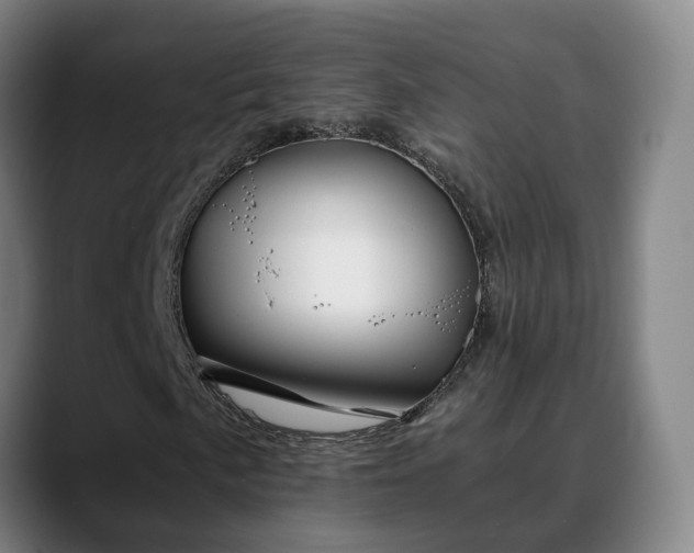 X0000088841057200706141535